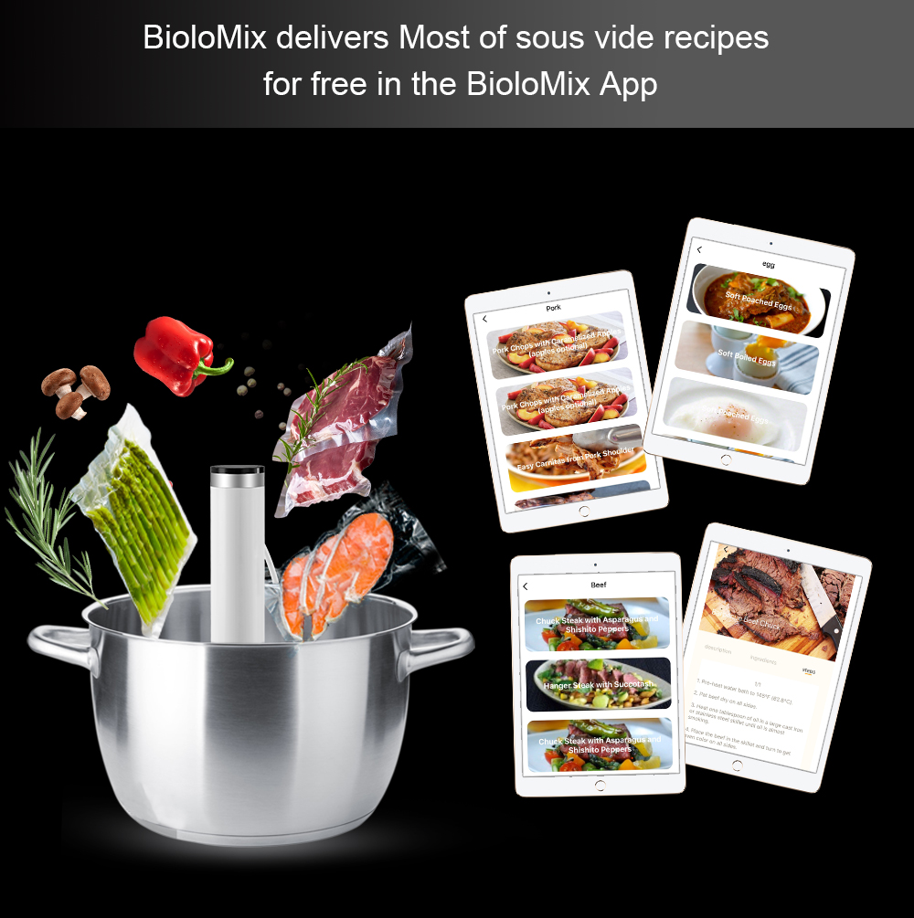 BioloMix – Cuiseur sous-vide i - Sous Vide Immersion avis et prix