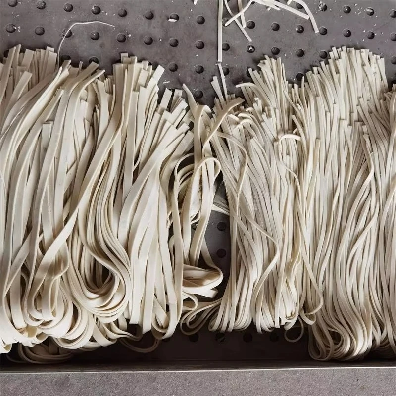 Machine intelligente de fabric - Pasta Machine Electric avis et prix